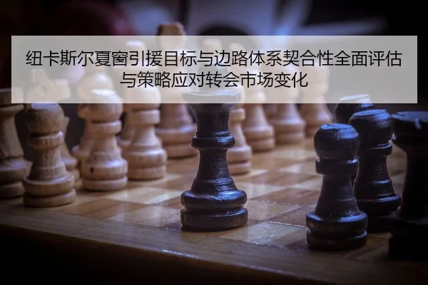 纽卡斯尔夏窗引援目标与边路体系契合性全面评估与策略应对转会市场变化